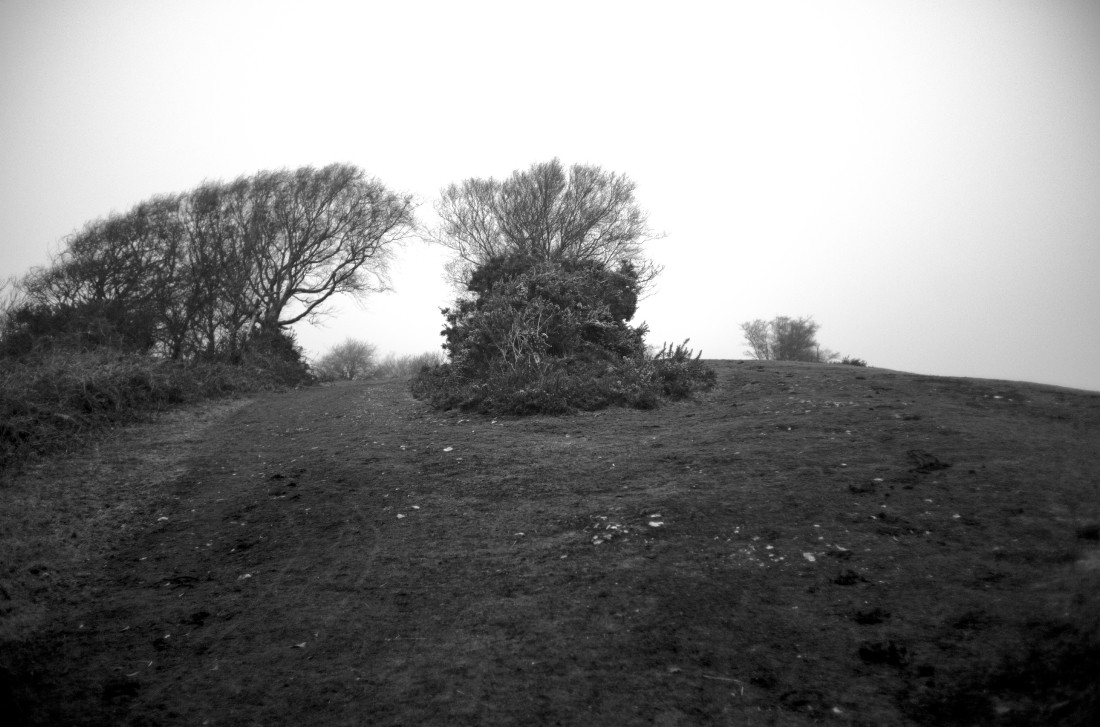 Steven Seidenberg 02